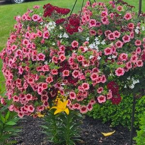 Meet your Posher, Jenn